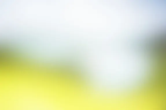 PocketWin Casino Support